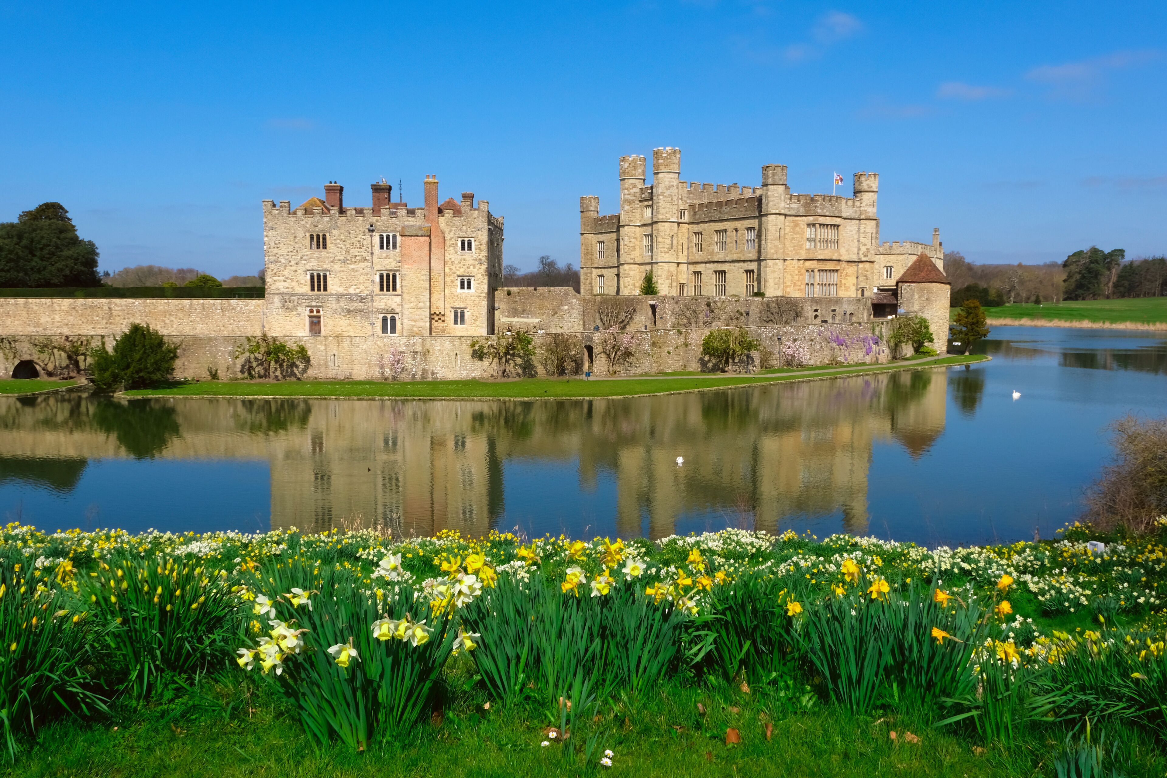 A historic castle with a moat and a reflection in the water, surrounded by a field of daffodils.