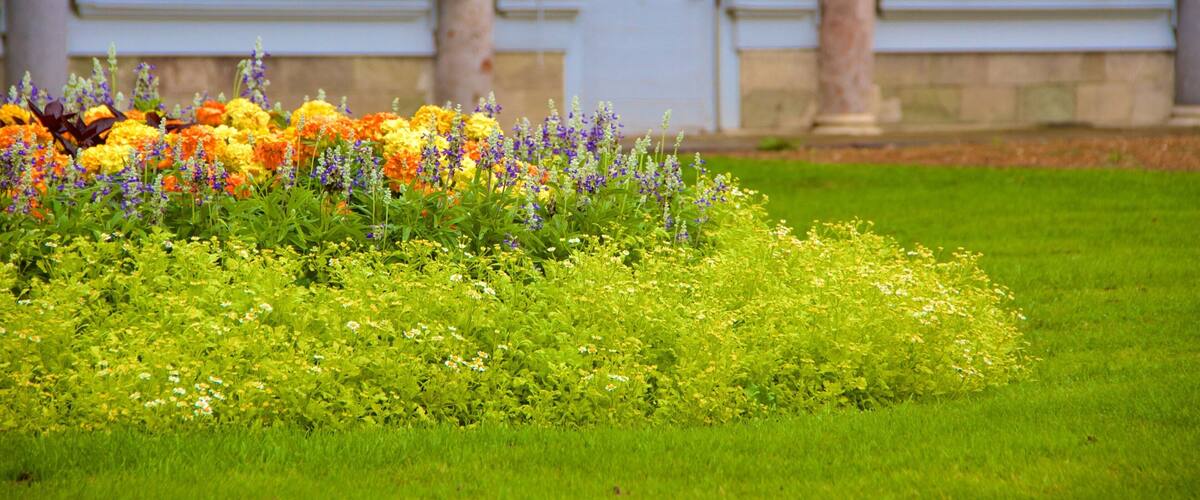Knole which includes flowers and a garden