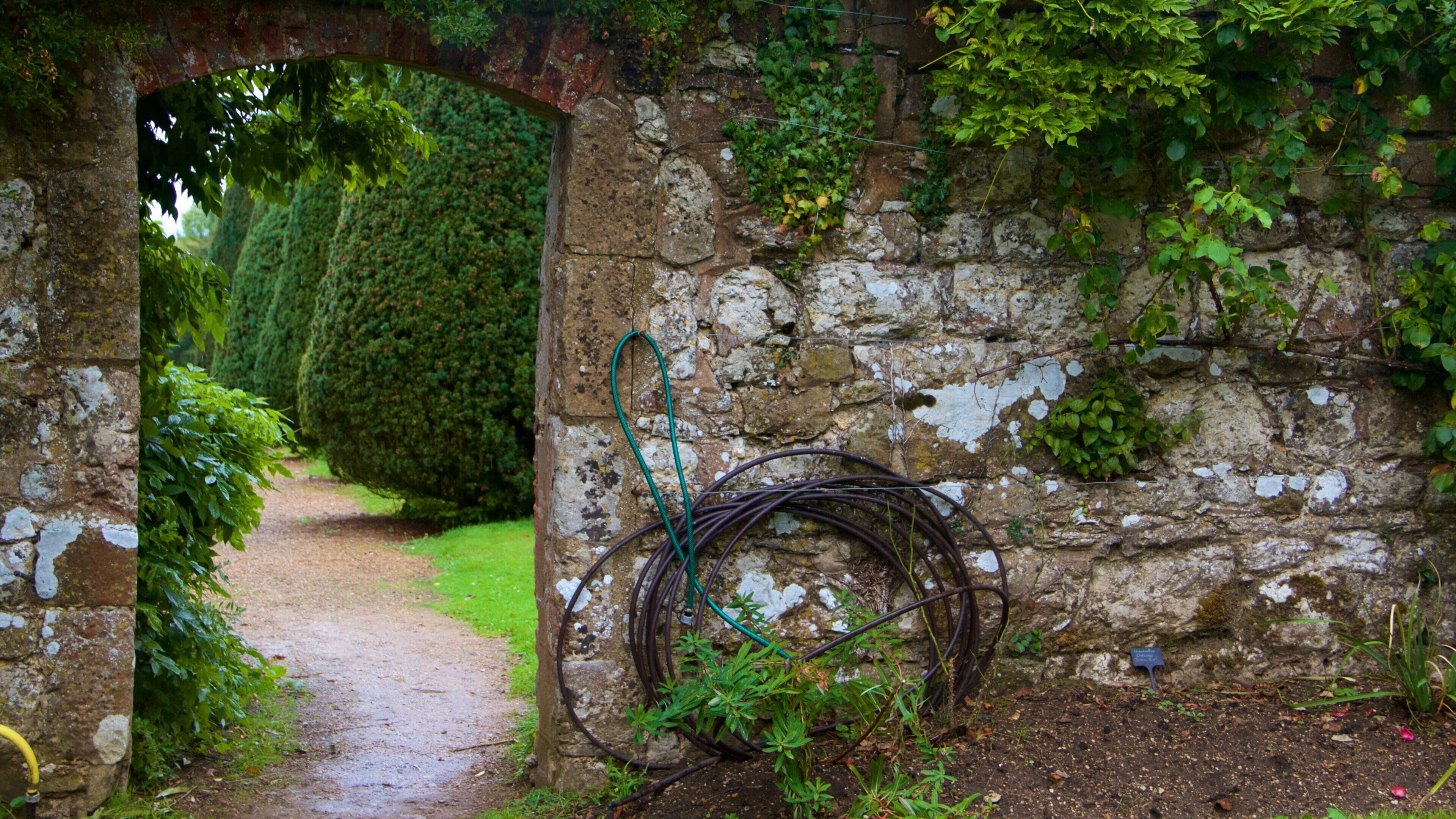 Knole caratteristiche di giardino
