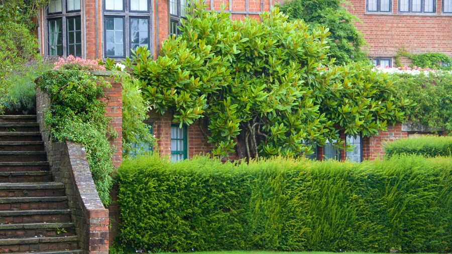 Chartwell que incluye un jardín y una casa