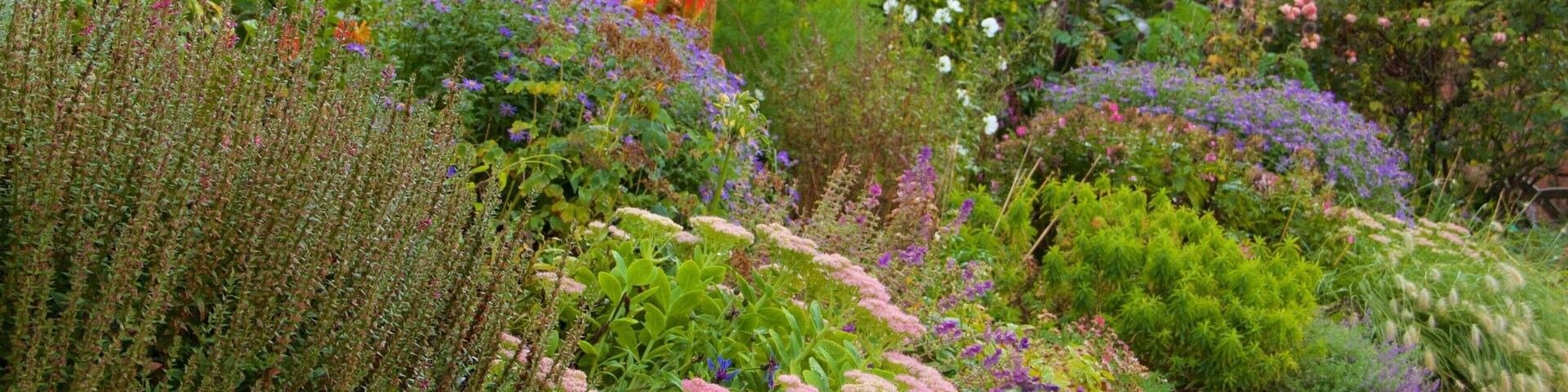 Chartwell ofreciendo un parque y flores