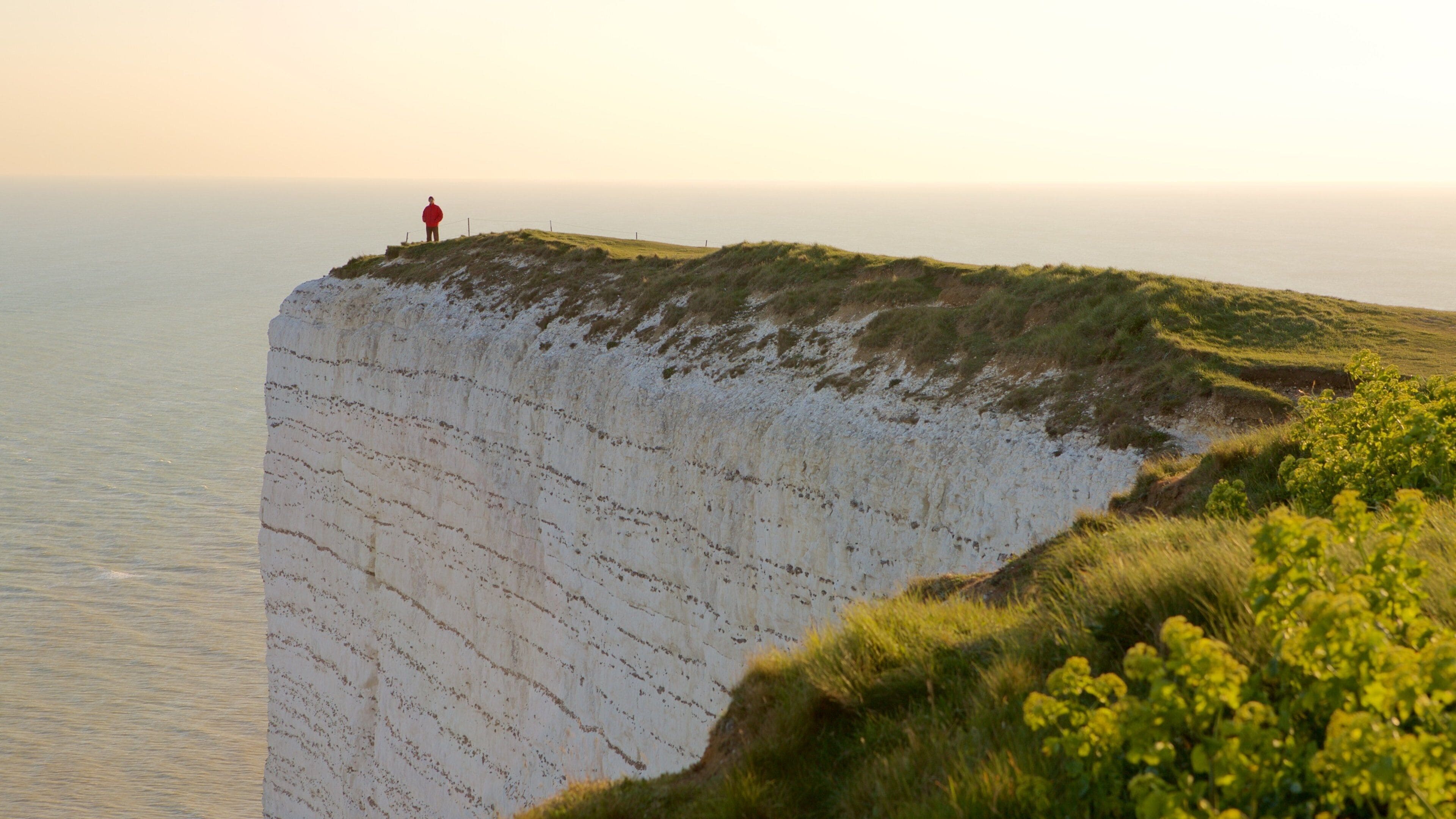 Beachy Head showing general coastal views