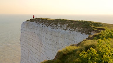 Beachy Head showing general coastal views