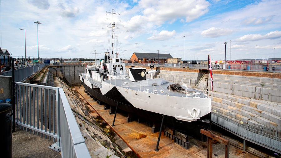 HMS M33