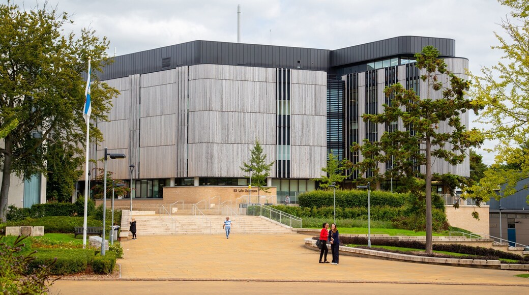 University of Southampton