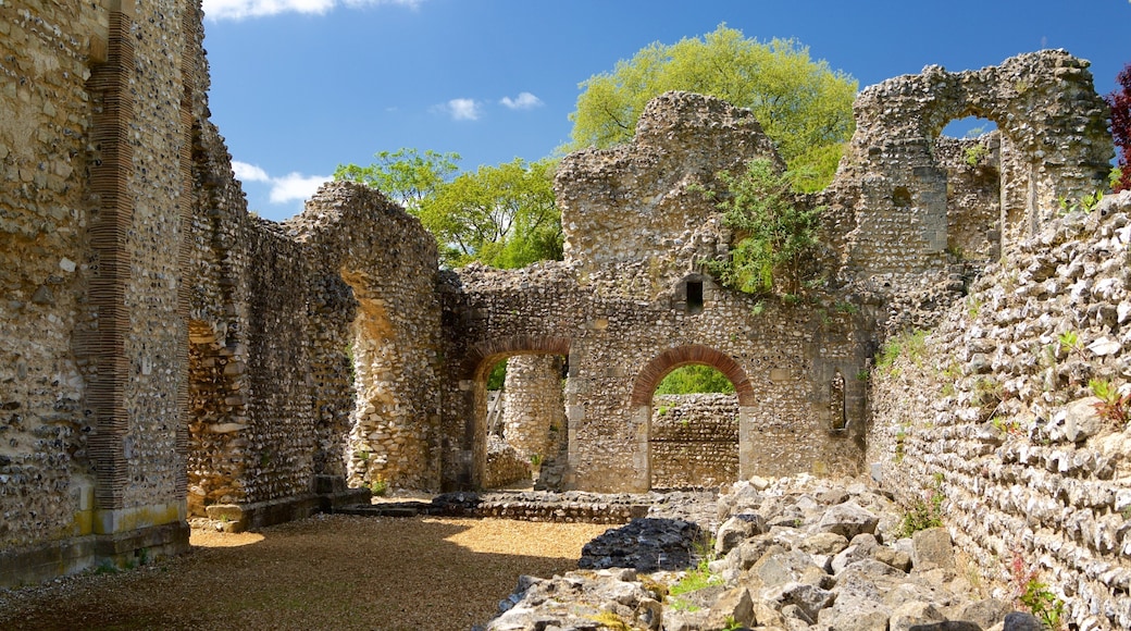 Wolvesey Castle som inkluderer kulturarv, palass og ruiner