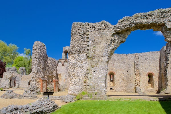 ChĂąteau de Wolvesey montrant patrimoine architectural et bĂątiments en ruines