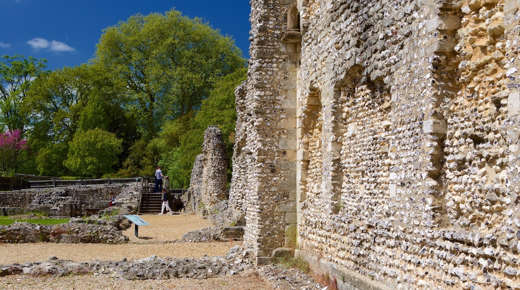 Wolvesey Castle som inkluderer kulturarv, palass og ruiner