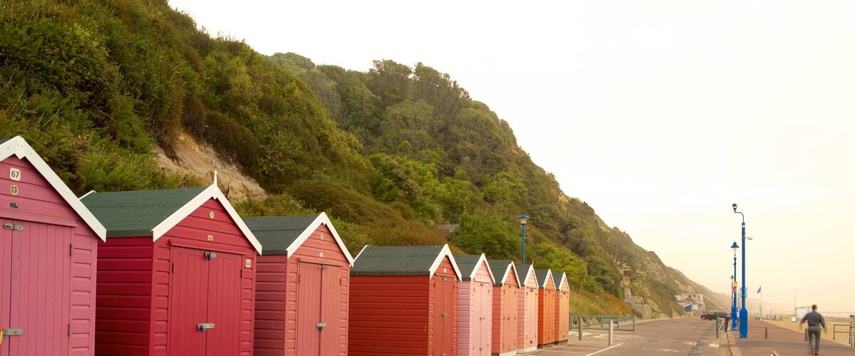 A row of red beach huts along a coastal road with a hillside in the background.
