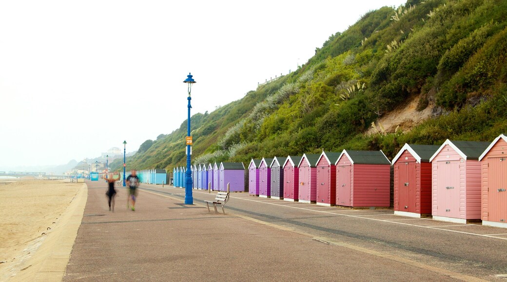 Bournemouth Beach showing a beach