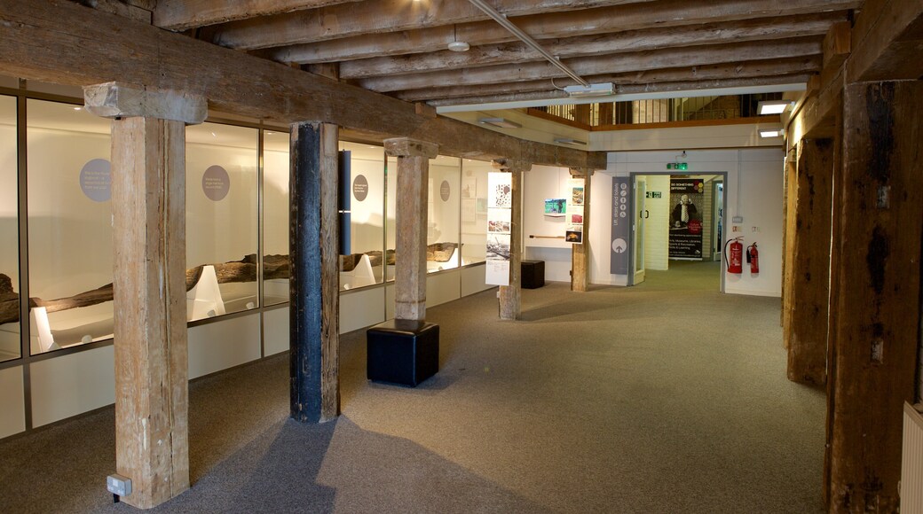 Poole Museum which includes interior views