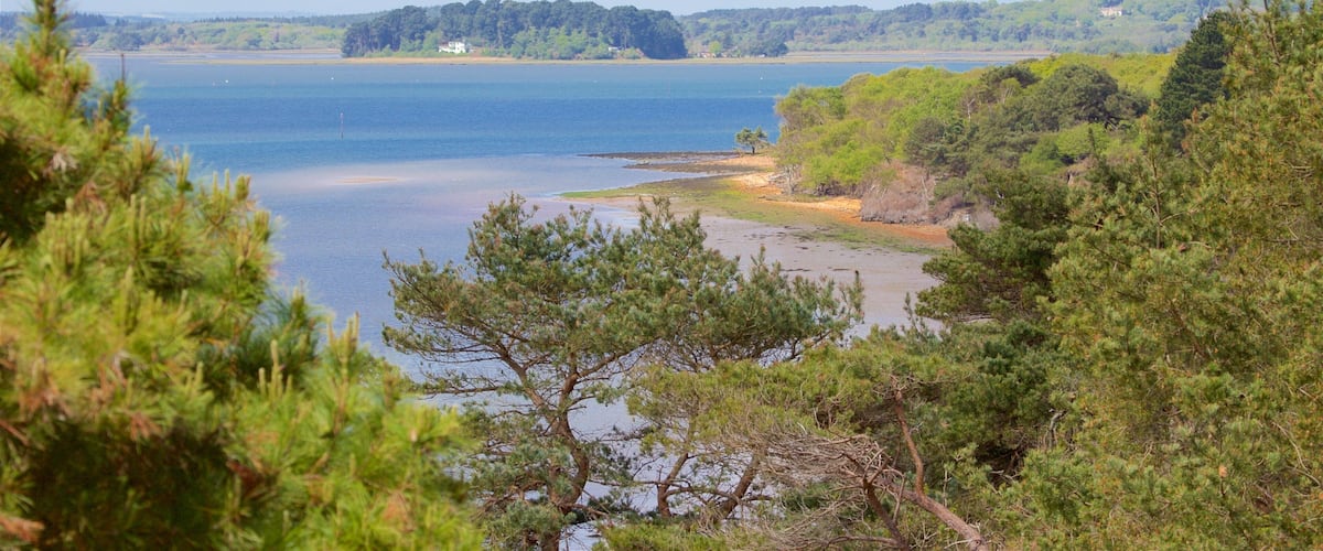 A coastal landscape with a sandy beach, dense pine trees, and a calm lake.