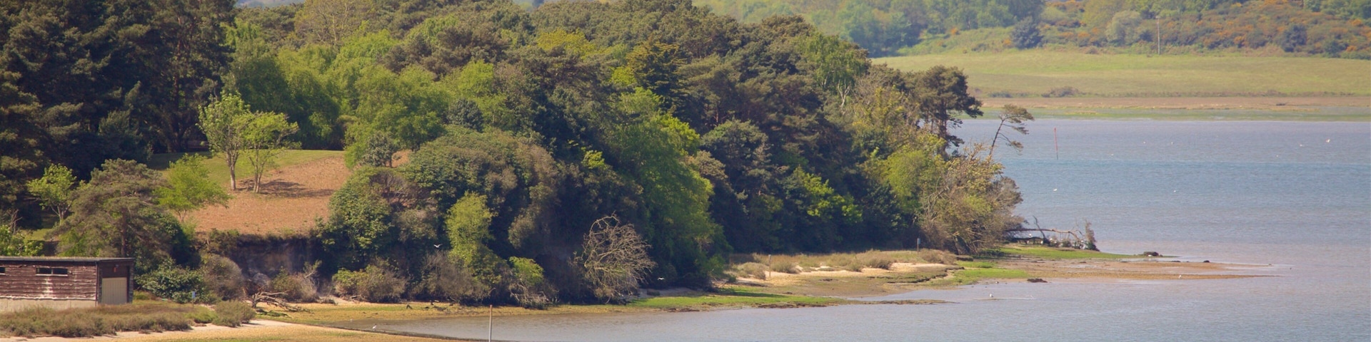 Brownsea Island featuring tranquil scenes