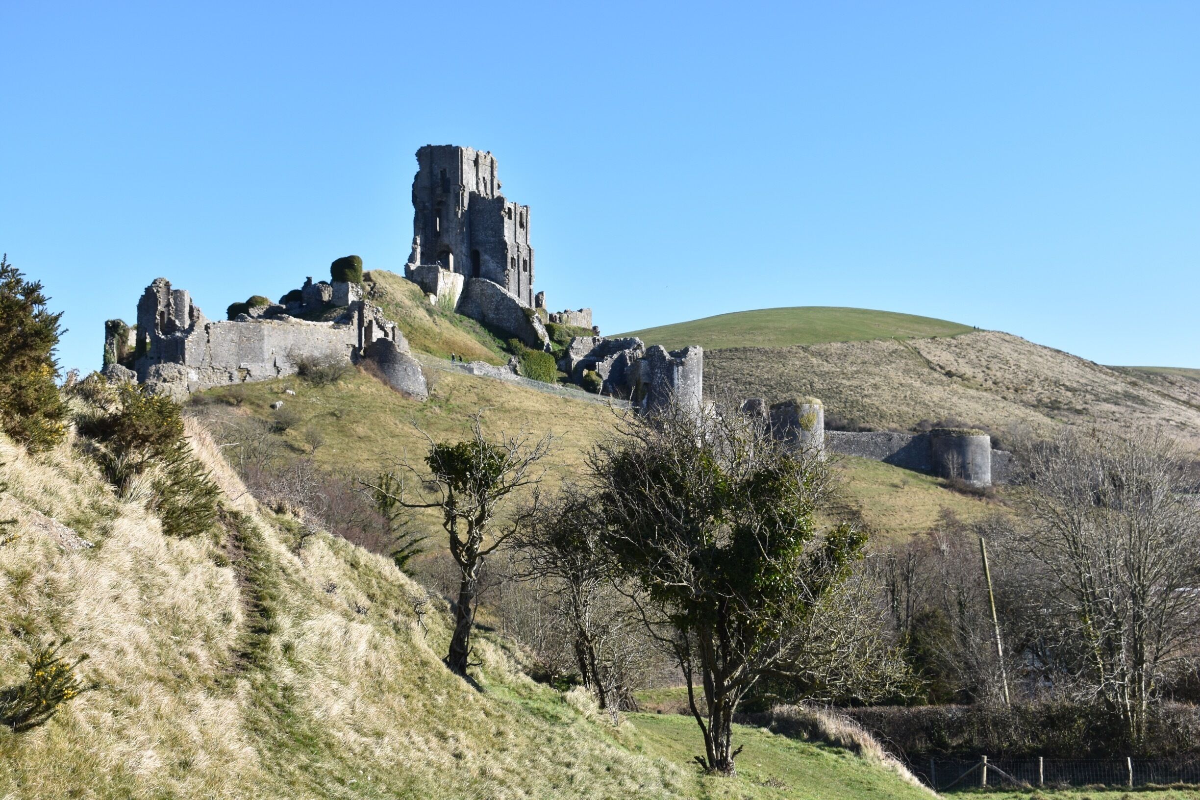 This was taken nearby,but one of the best places to look at Corfe Castle is from the Scott Arms.