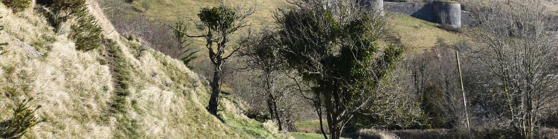 This was taken nearby,but one of the best places to look at Corfe Castle is from the Scott Arms.