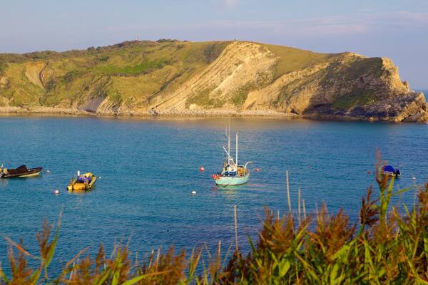 Crique de Lulworth Cove montrant baie ou port et navigation