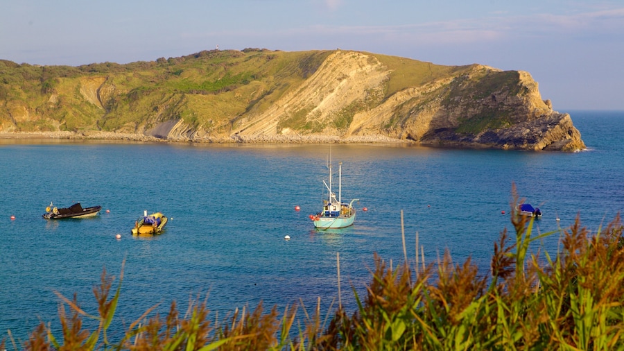 Strand van Lulworth Cove inclusief een baai of haven en varen