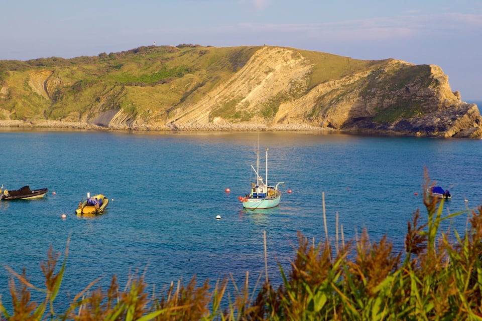 A coastal landscape with a lighthouse on a hill, several boats on the water, and grassy vegetation in the foreground.