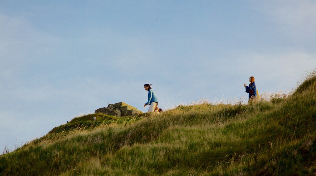 Lulworth Cove Beach showing tranquil scenes as well as a small group of people