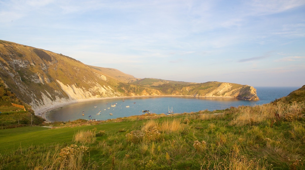 Lulworth Cove Beach which includes general coastal views, tranquil scenes and a bay or harbor