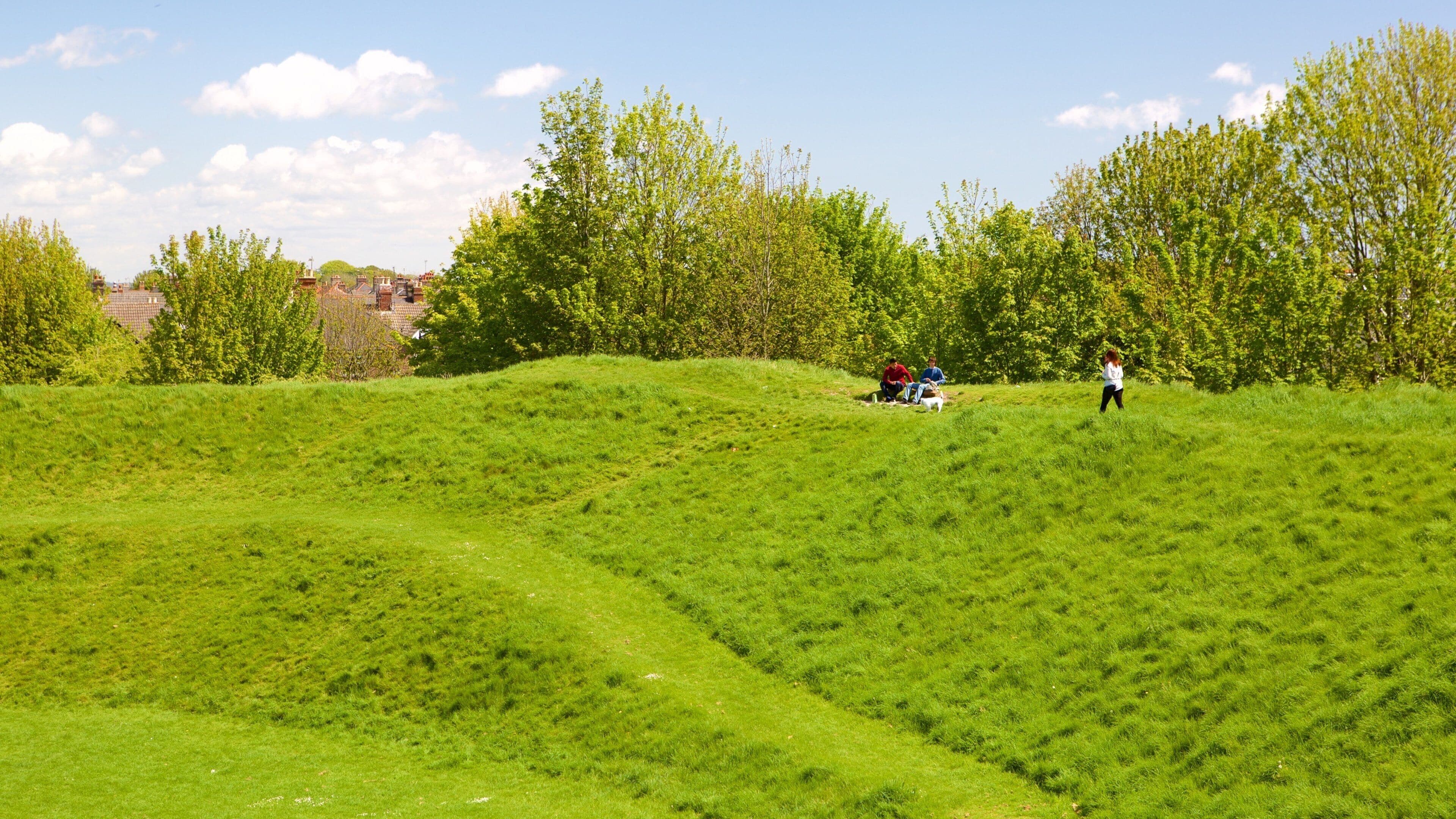 A grassy hill with people and trees.