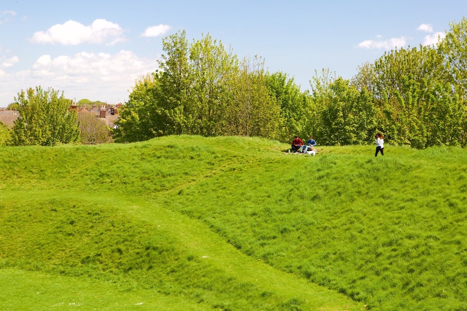 A grassy hill with people and trees.