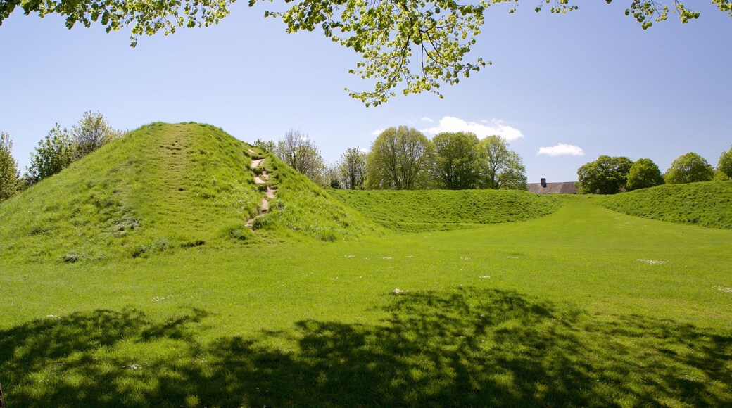 Maumbury Rings which includes tranquil scenes