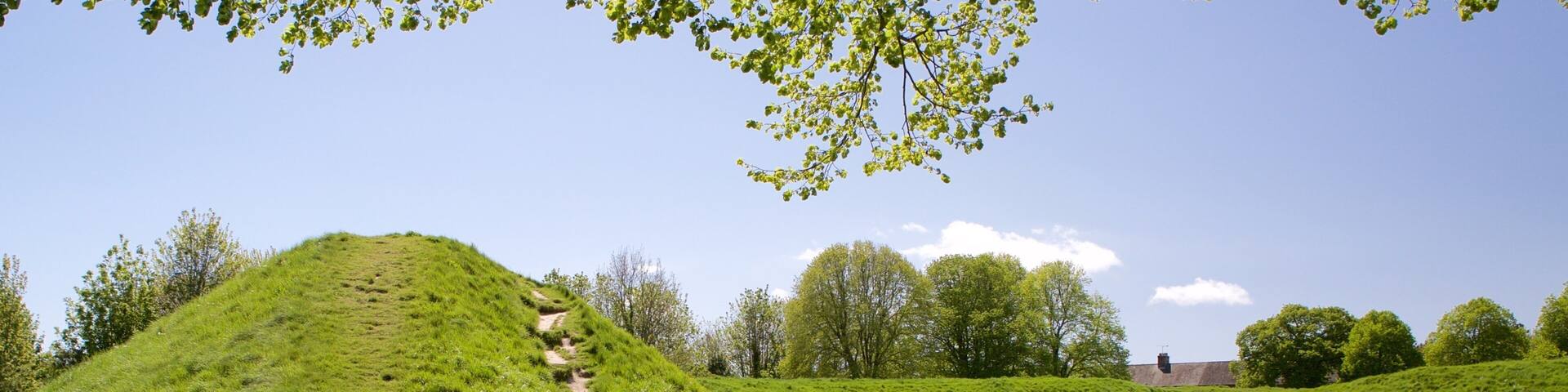 Maumbury Rings which includes tranquil scenes