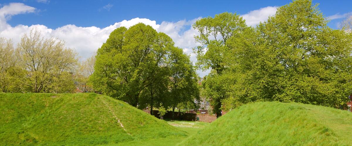 Maumbury Rings showing tranquil scenes