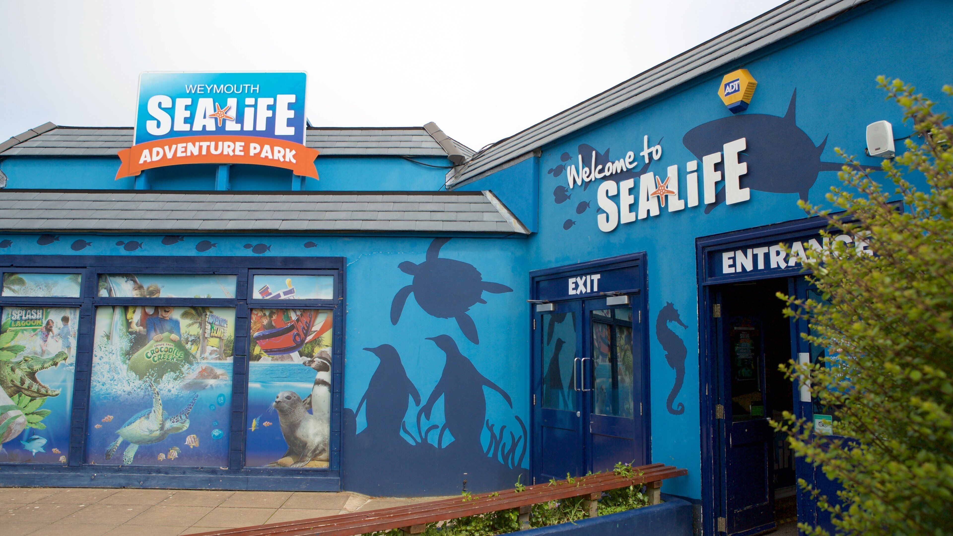 Sea Life Park フィーチャー 海洋生物