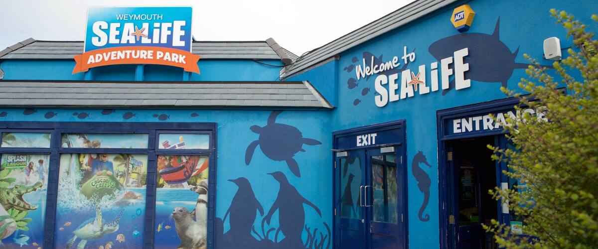Sea Life Park featuring marine life