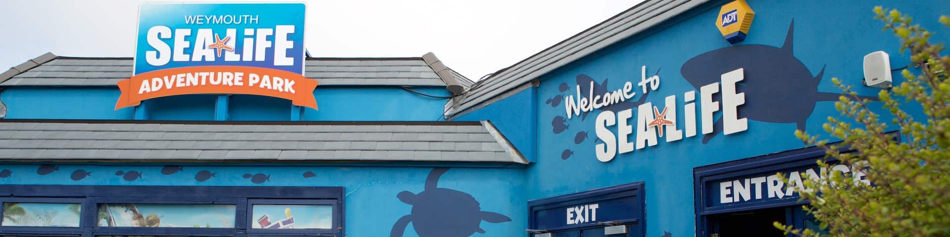 Sea Life Park featuring marine life