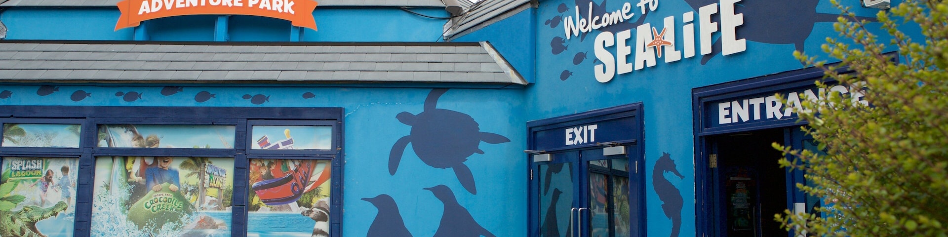 Sea Life Park featuring marine life