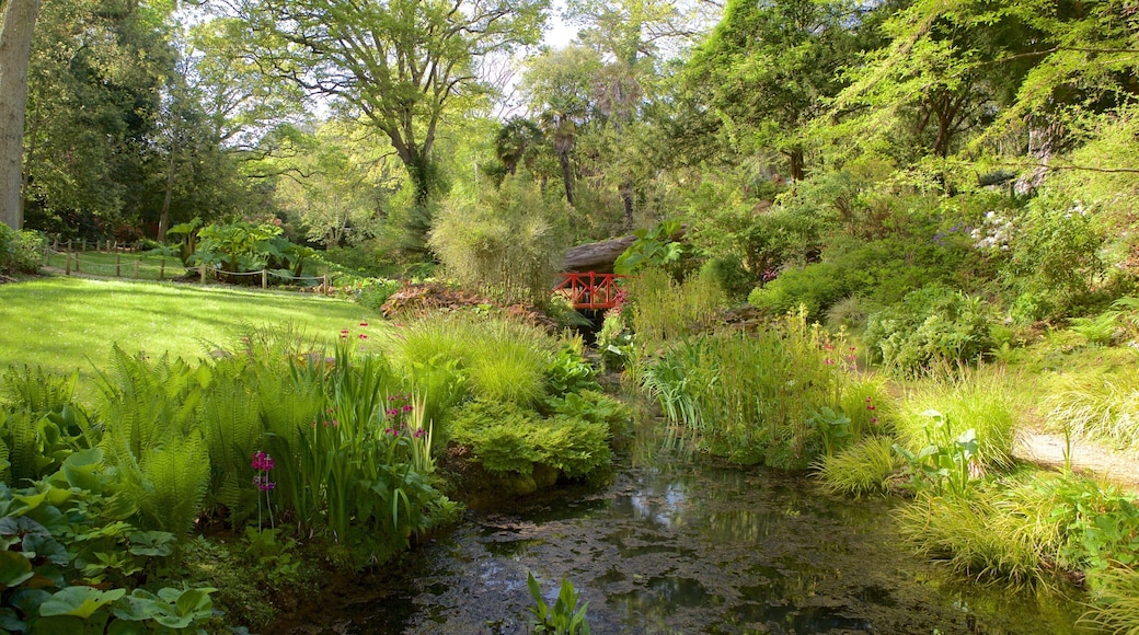 애벗츠베리 아열대 정원 을 보여주는 공원 과 연못