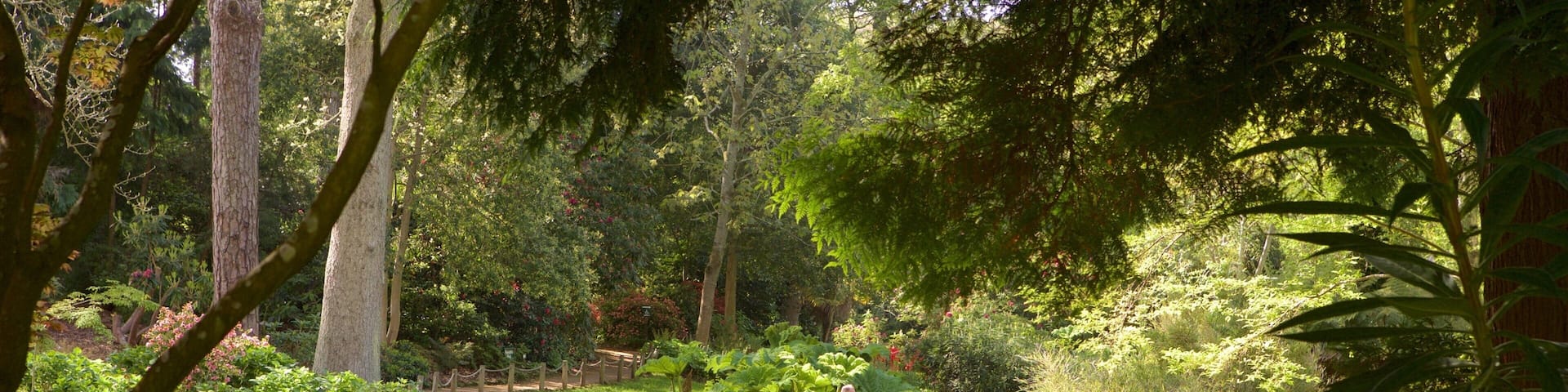 Abbotsbury Subtropical Gardens mit einem Park und Blumen