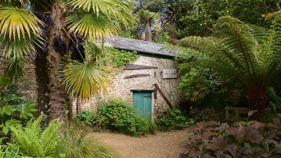 Abbotsbury Sub-Tropical Gardens featuring forest scenes