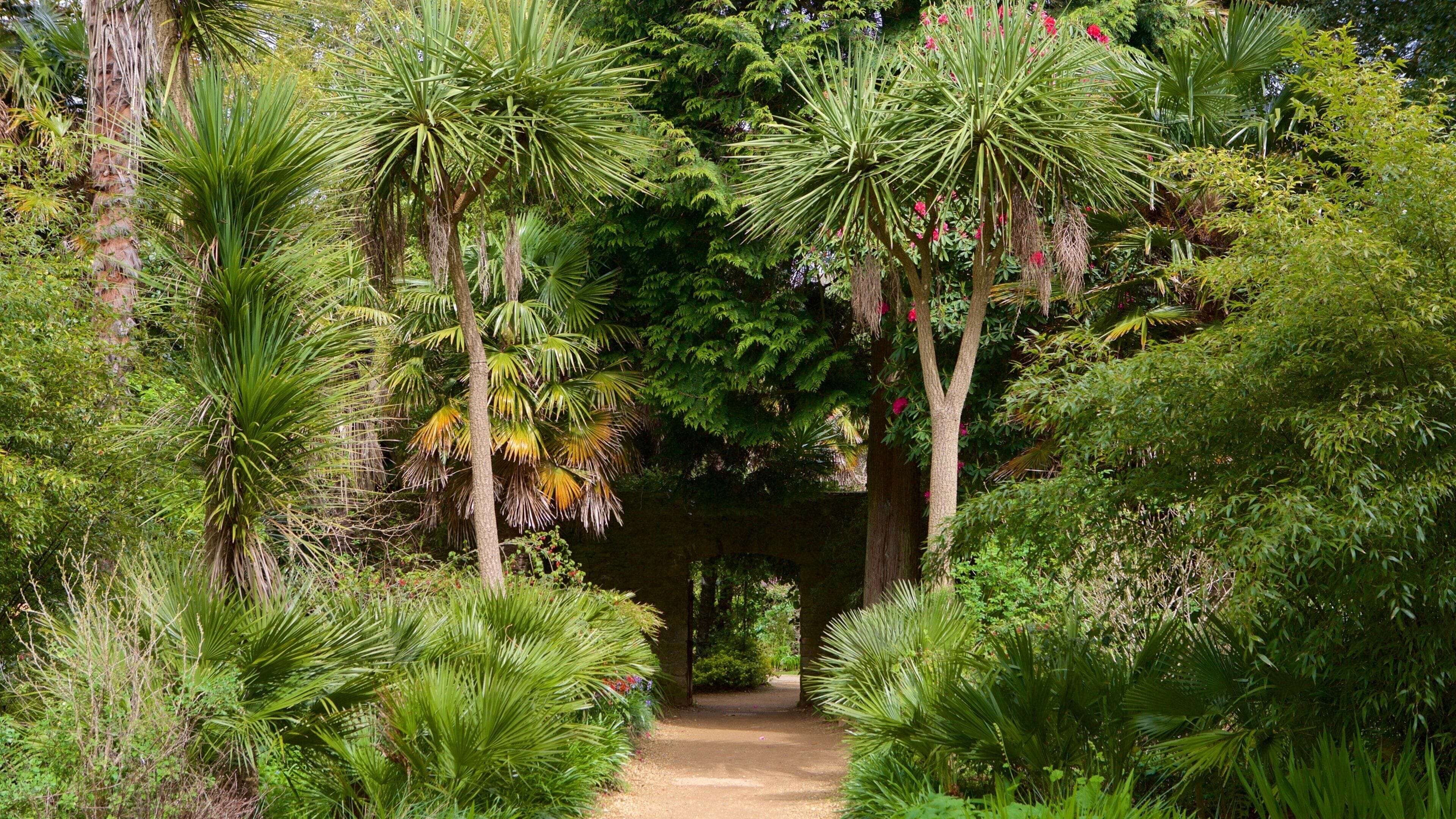 Abbotsbury Sub-Tropical Gardens que incluye un parque