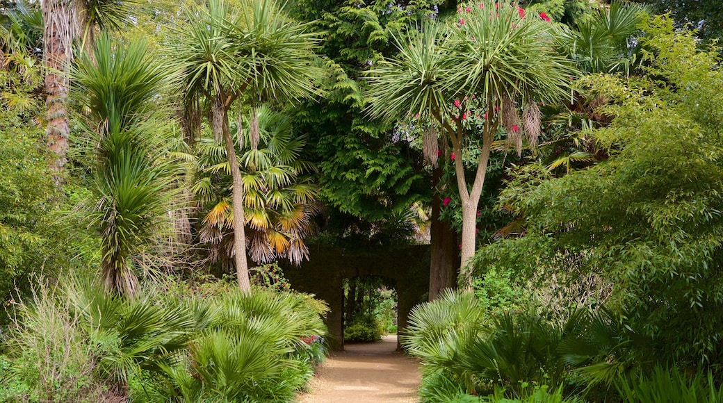 Abbotsbury Sub-Tropical Gardens which includes a park