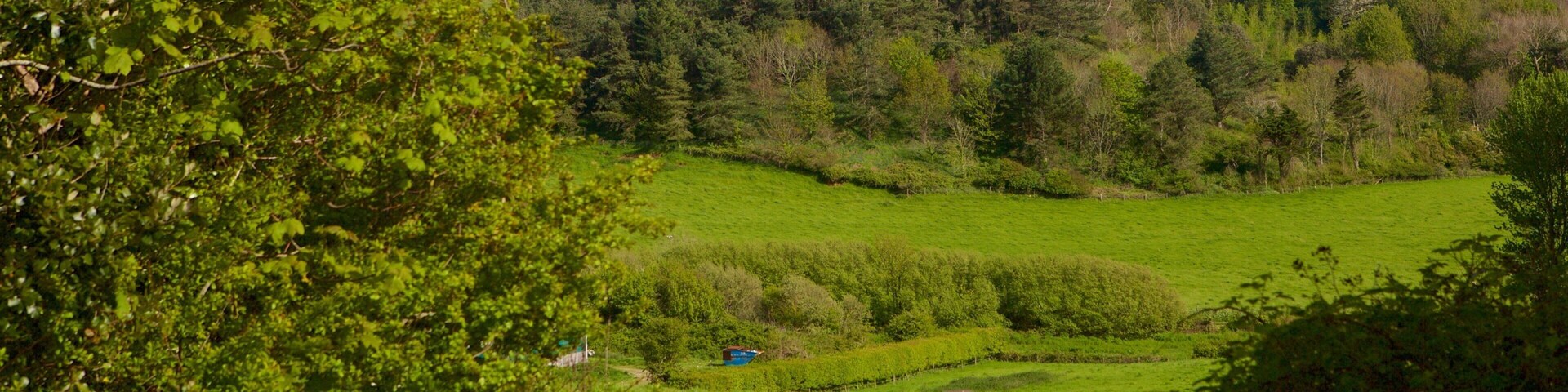 A grassy hill with a stone structure on top, surrounded by trees and a wooden gate.