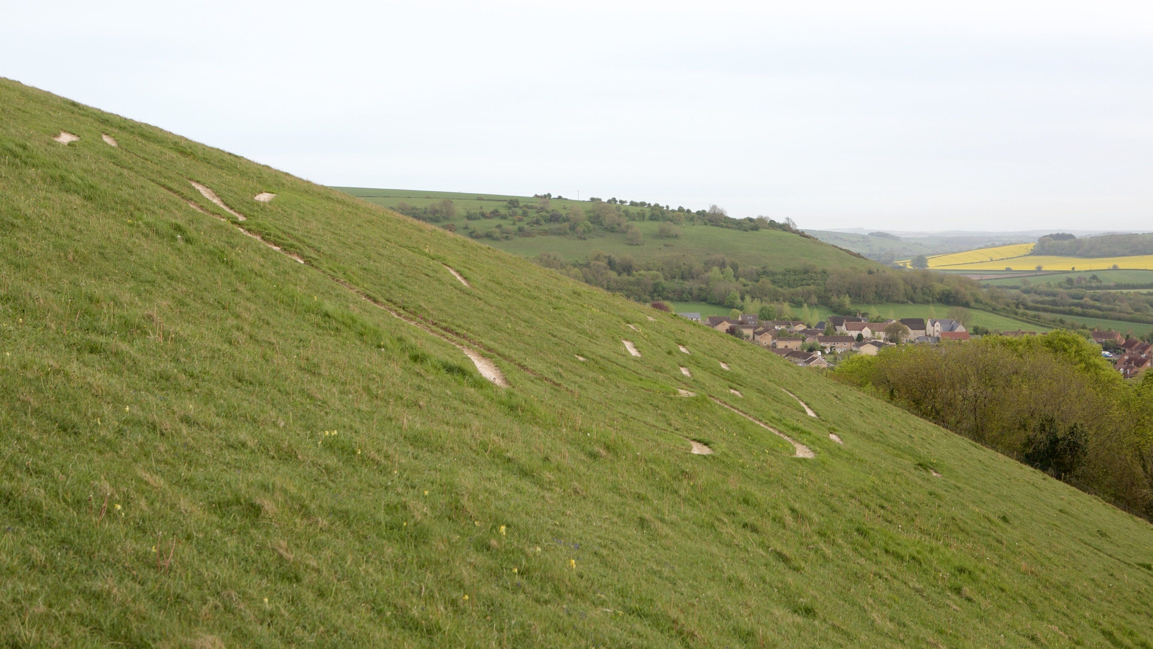Cerne Abbas Giant fasiliteter samt rolig landskap