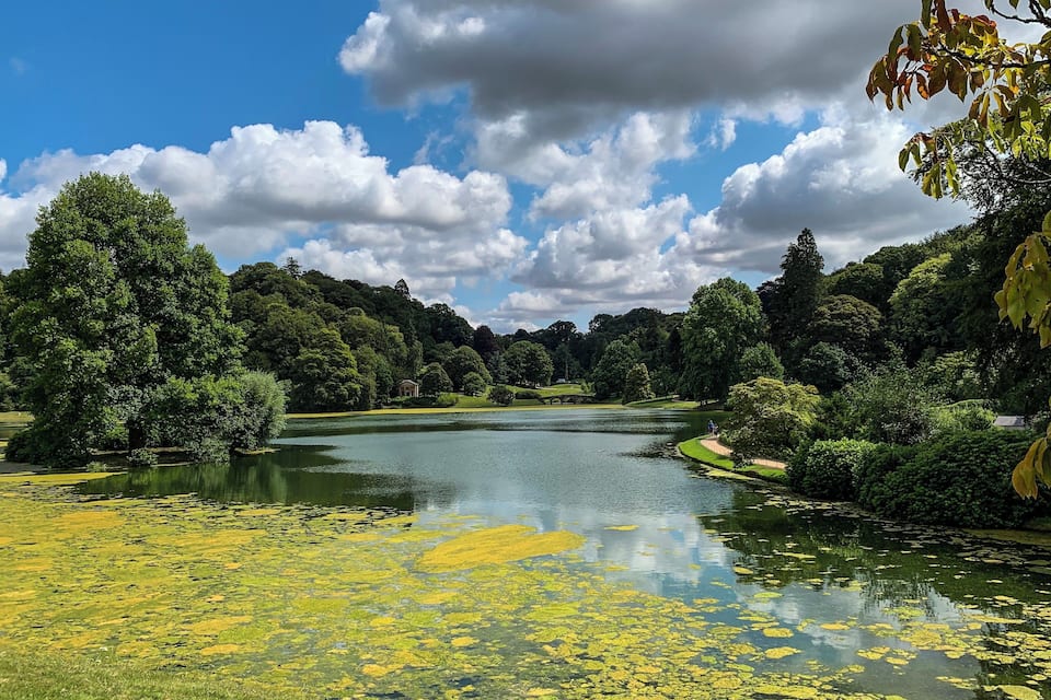 Ein Fluss mit Seerosenblättern, umgeben von üppiger Vegetation und Bäumen, unter einem teils bewölkten Himmel.