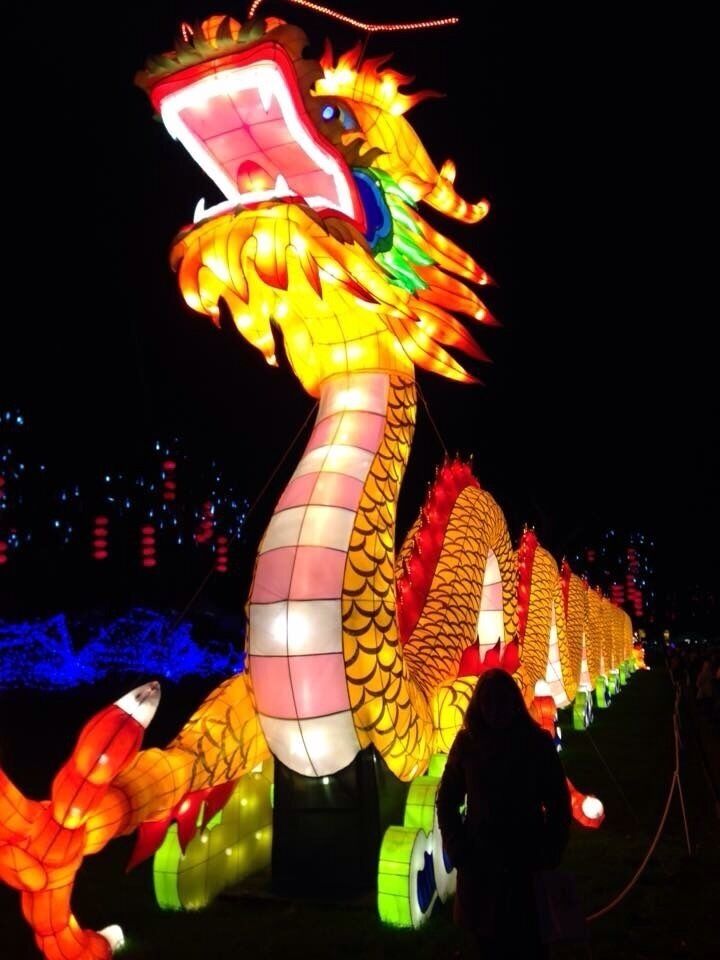 The festival of light at longleat, tickets include a pass to the safari park and house as well as hundreds of paper lantern structures lit up in the evening. Even an ice rink too! 
#StunningStructures