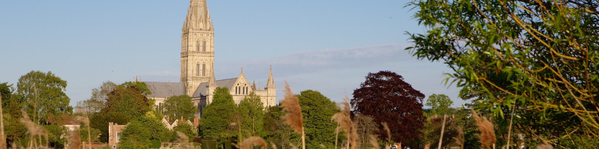 A church with a tall spire, surrounded by trees and grass.