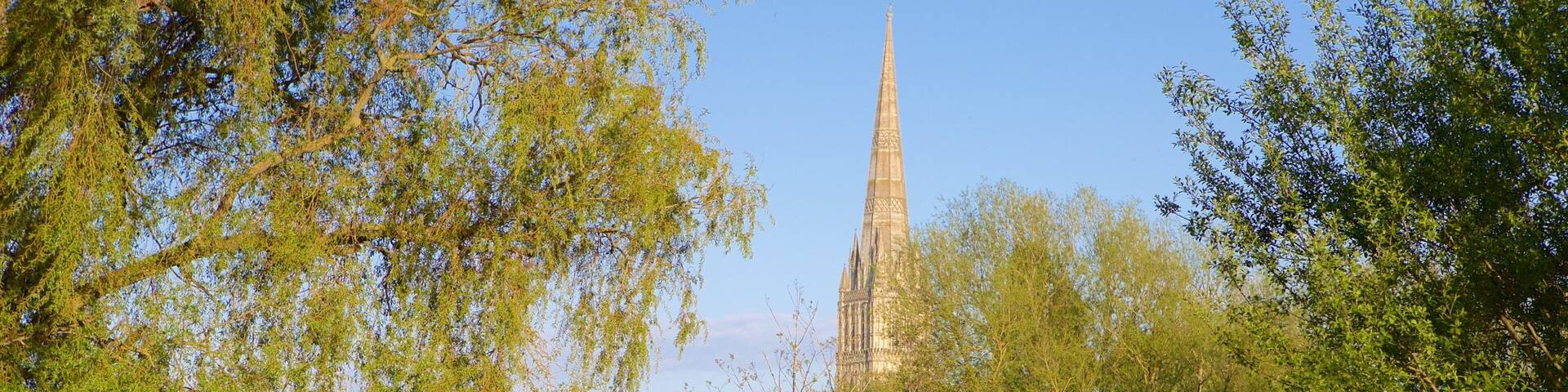 Salisbury Cathedral featuring a park