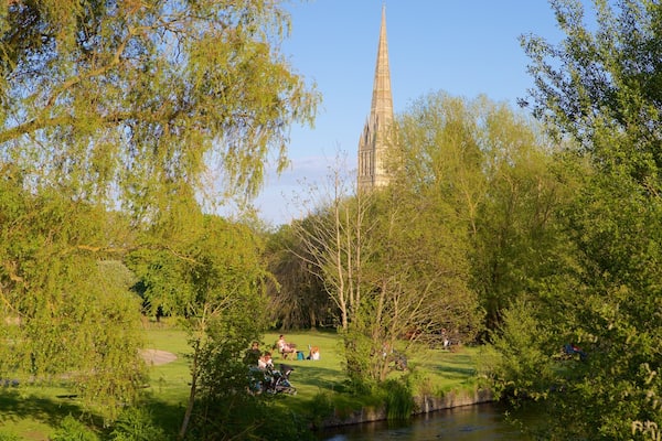 Salisbury Cathedral das einen Park