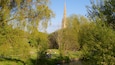 Salisbury Cathedral featuring a garden
