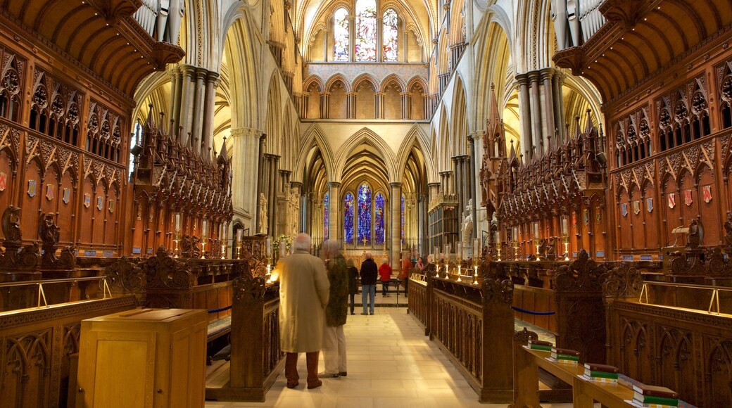 Catedral de Salisbury ofreciendo una iglesia o catedral, vistas de interior y aspectos religiosos