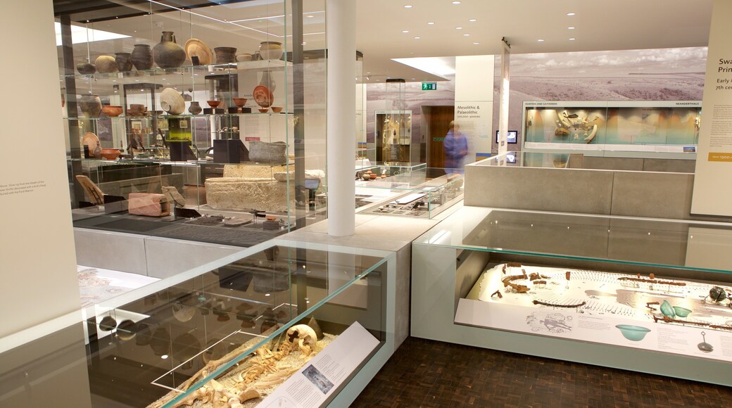 Salisbury and South Wiltshire Museum showing heritage elements and interior views