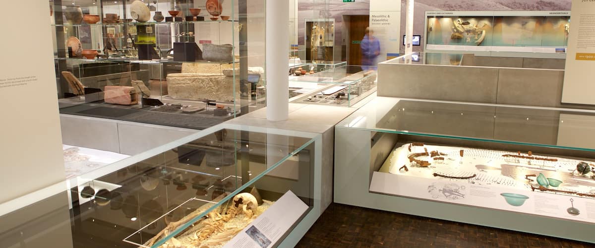 Salisbury and South Wiltshire Museum showing heritage elements and interior views