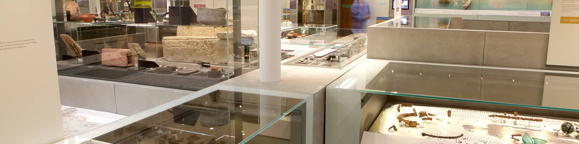 Salisbury and South Wiltshire Museum montrant patrimoine historique et vues intérieures